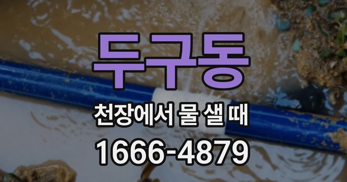 두구동 천장에서 물 샐 때