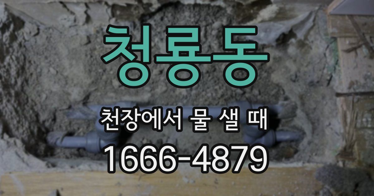 청룡동 천장에서 물 샐 때