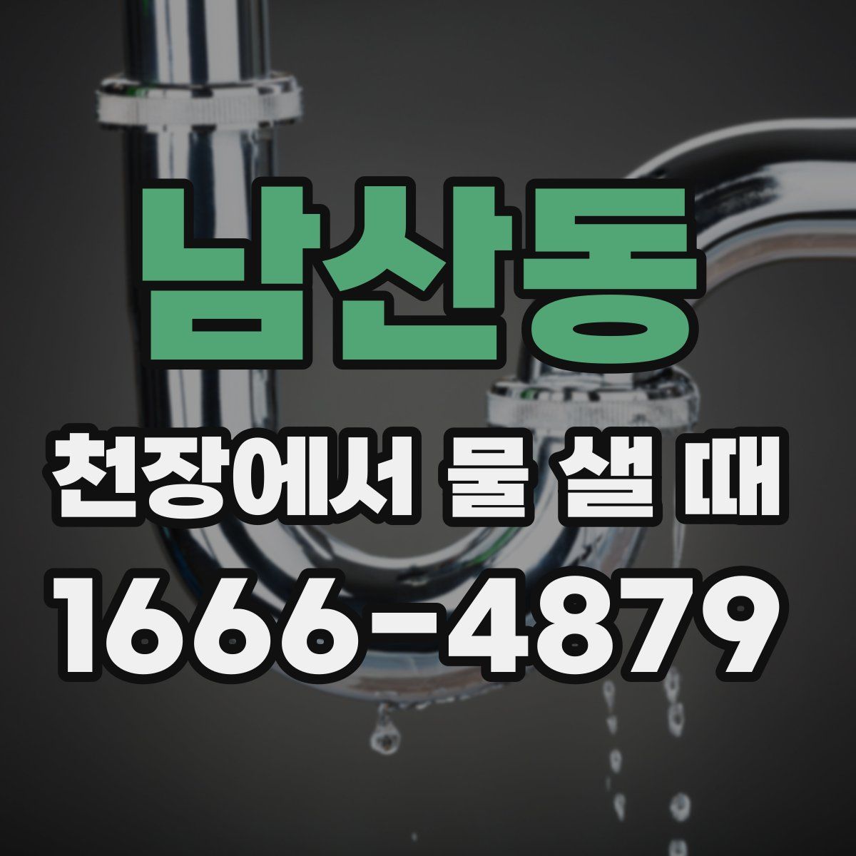 남산동 천장에서 물 샐 때
