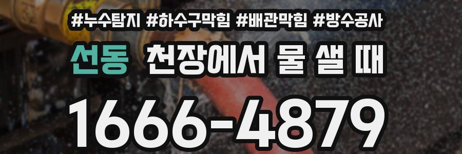 선동 천장에서 물 샐 때