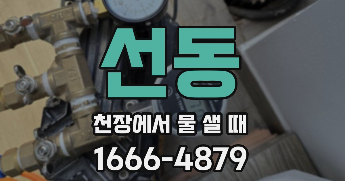 선동 천장에서 물 샐 때