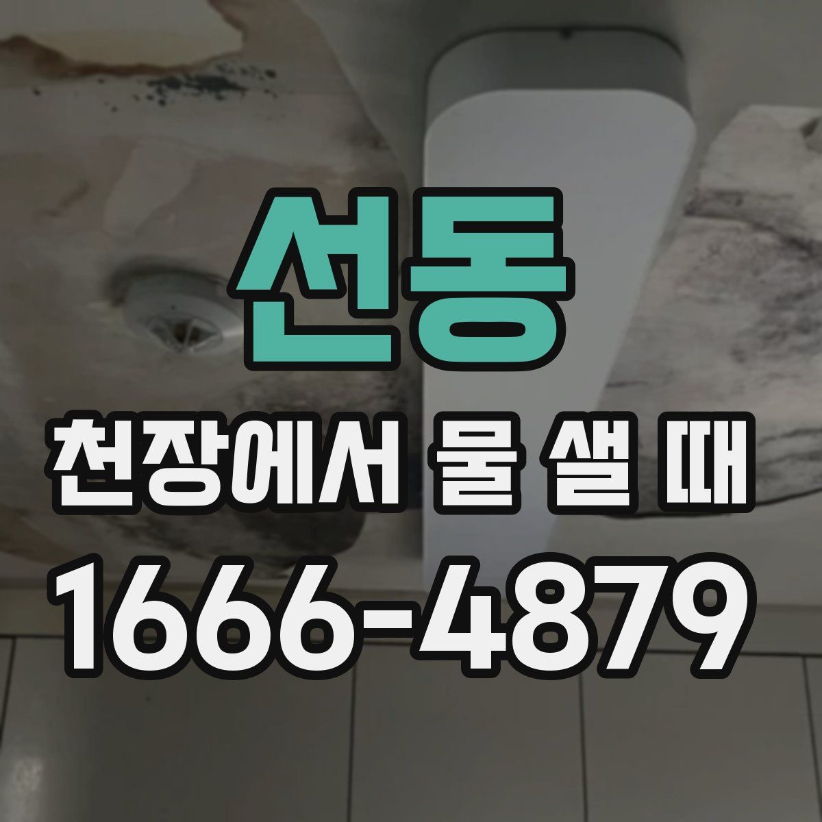 선동 천장에서 물 샐 때