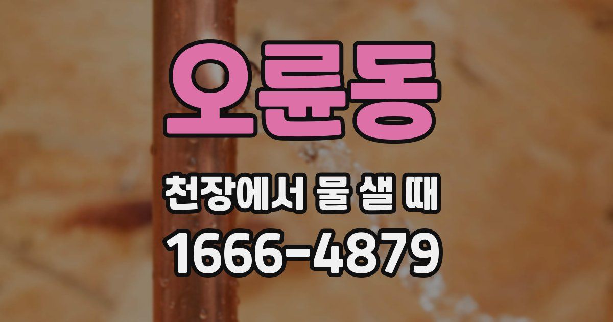 오륜동 천장에서 물 샐 때