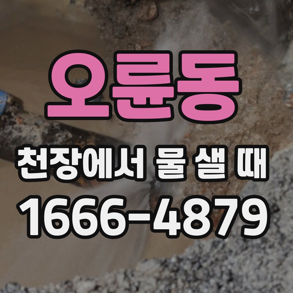 오륜동 천장에서 물 샐 때