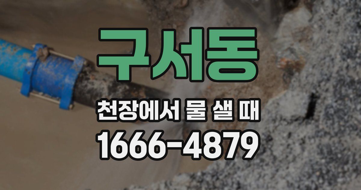 구서동 천장에서 물 샐 때