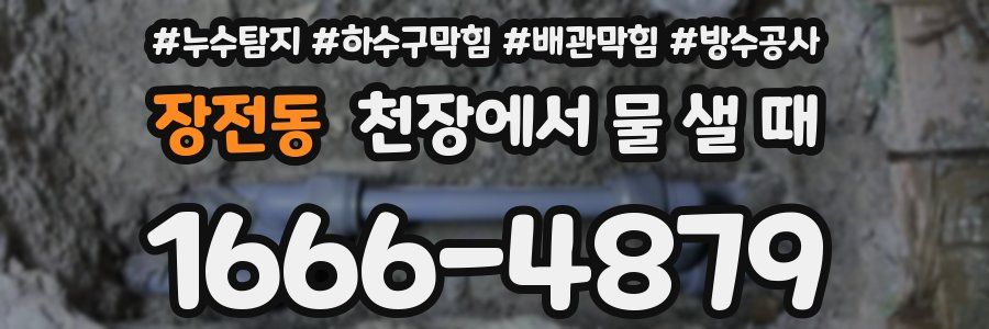 장전동 천장에서 물 샐 때