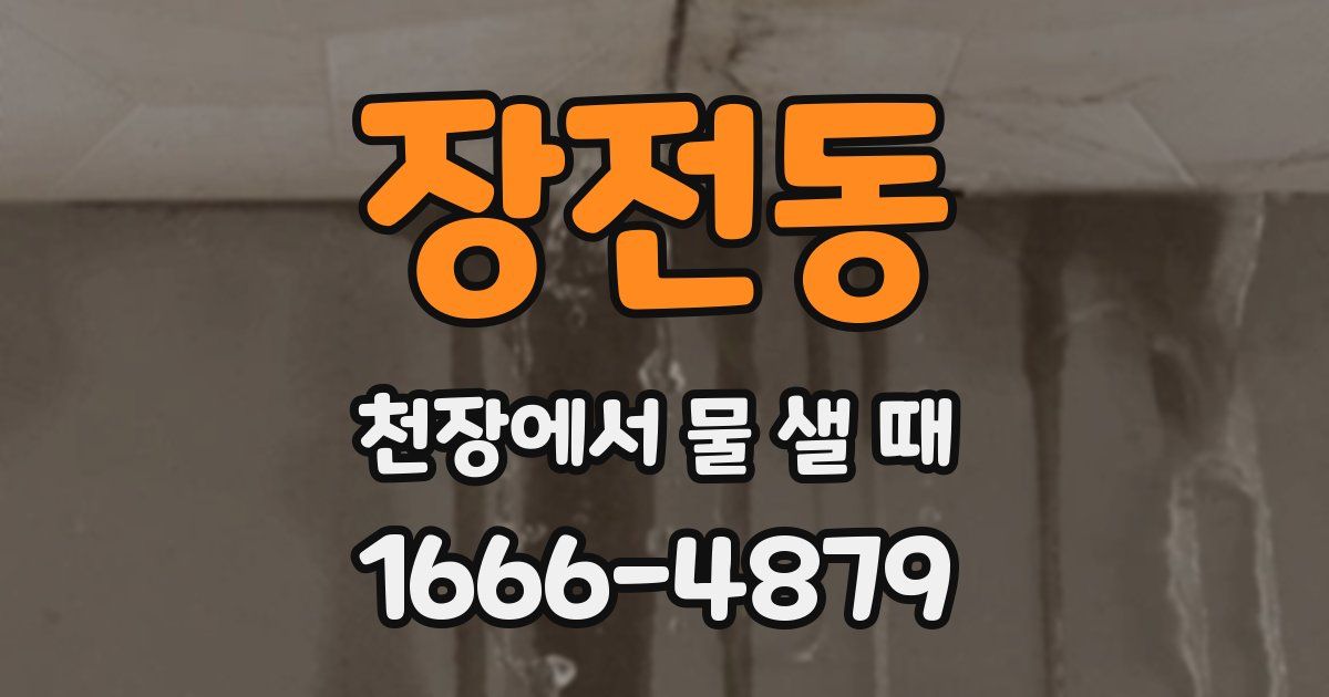 장전동 천장에서 물 샐 때