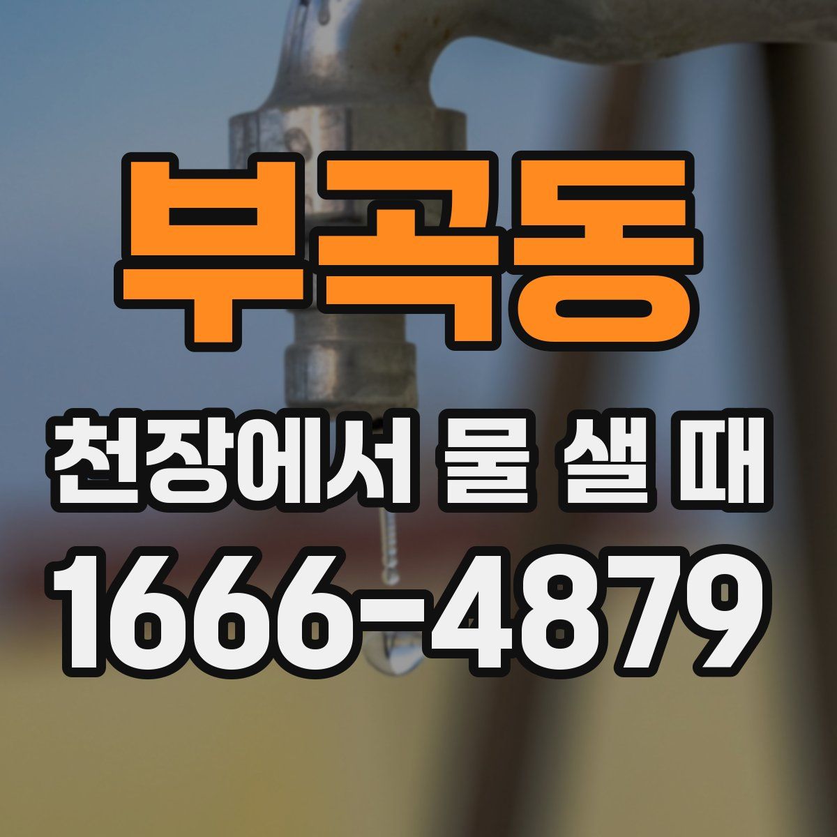 부곡동 천장에서 물 샐 때