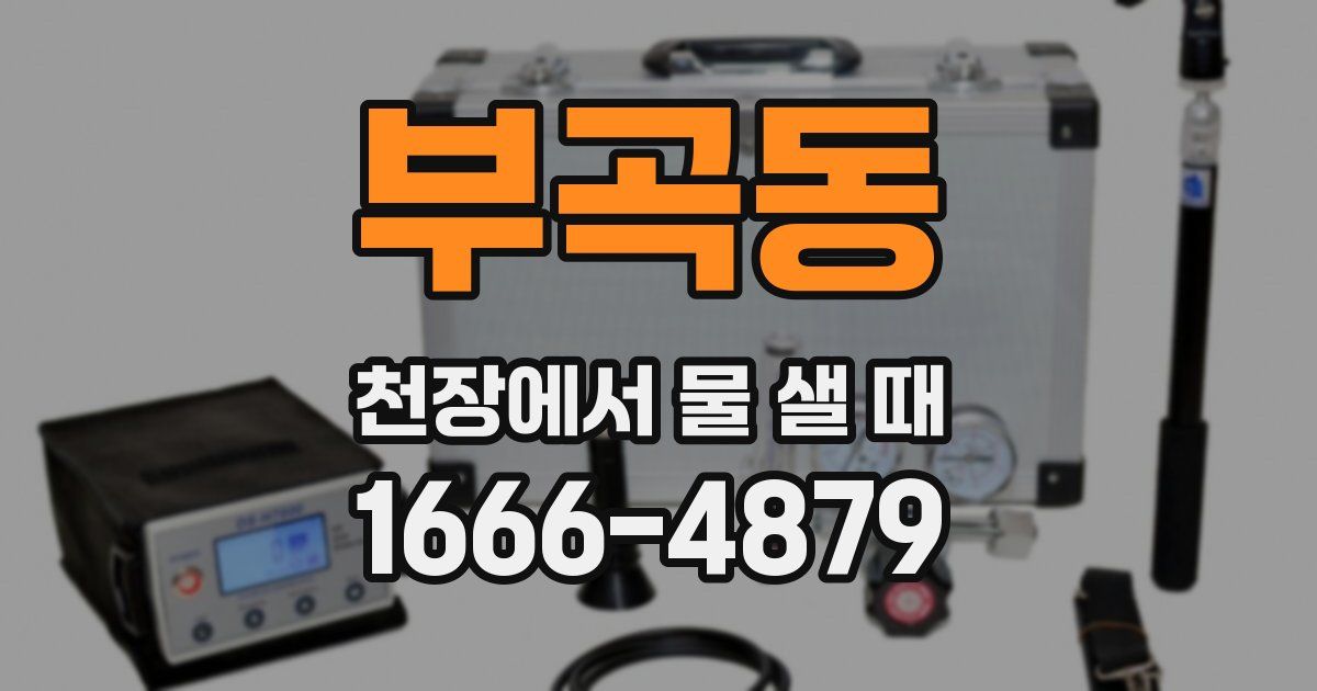 부곡동 천장에서 물 샐 때