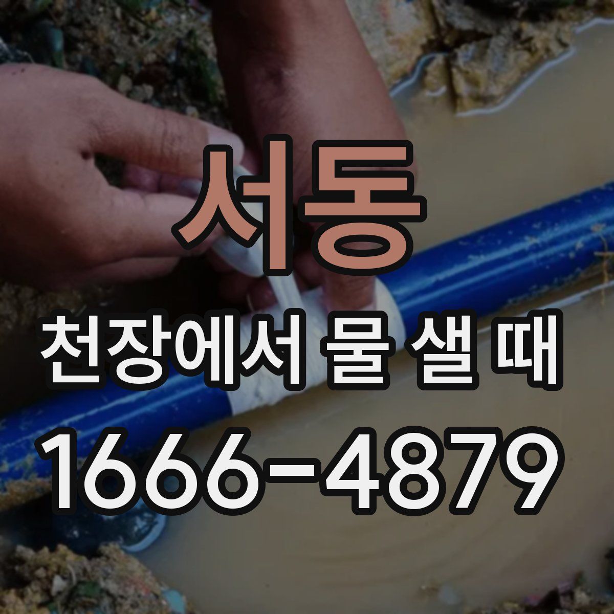 서동 천장에서 물 샐 때