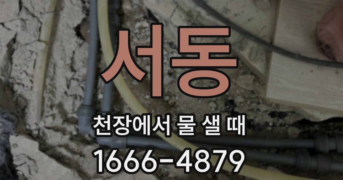 서동 천장에서 물 샐 때