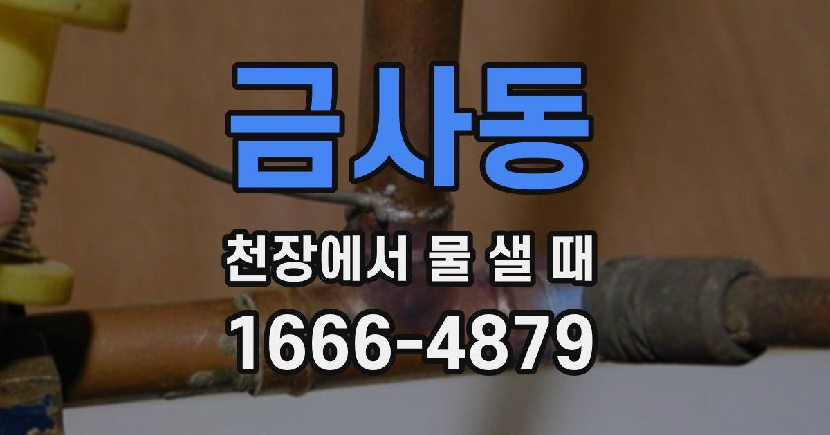 금사동 천장에서 물 샐 때