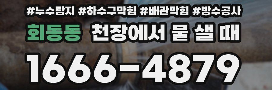 회동동 천장에서 물 샐 때