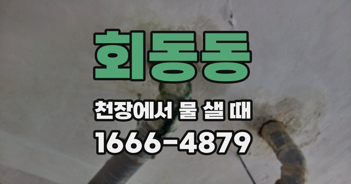 회동동 천장에서 물 샐 때