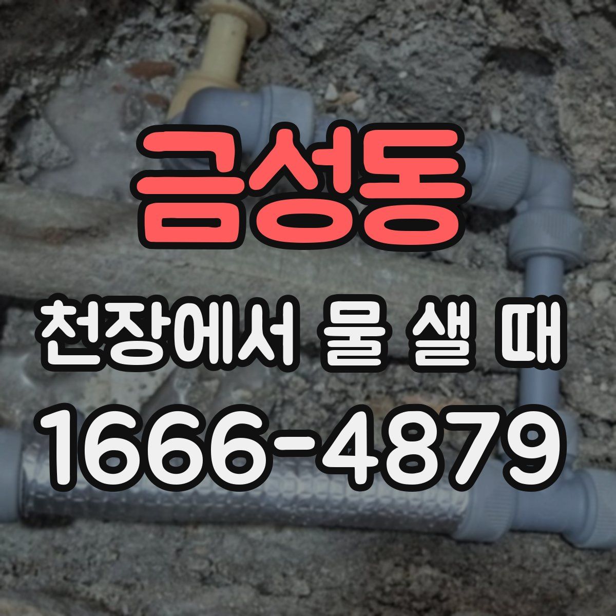 금성동 천장에서 물 샐 때
