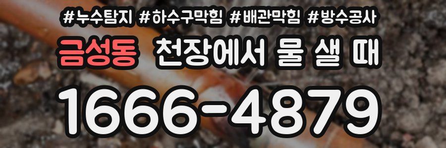 금성동 천장에서 물 샐 때