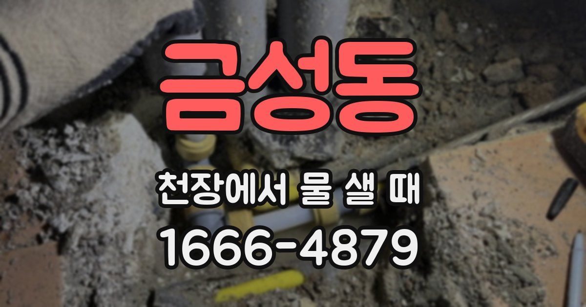 금성동 천장에서 물 샐 때