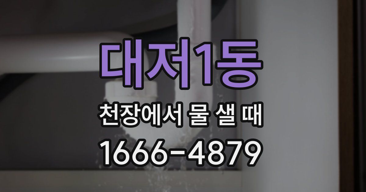 대저1동 천장에서 물 샐 때