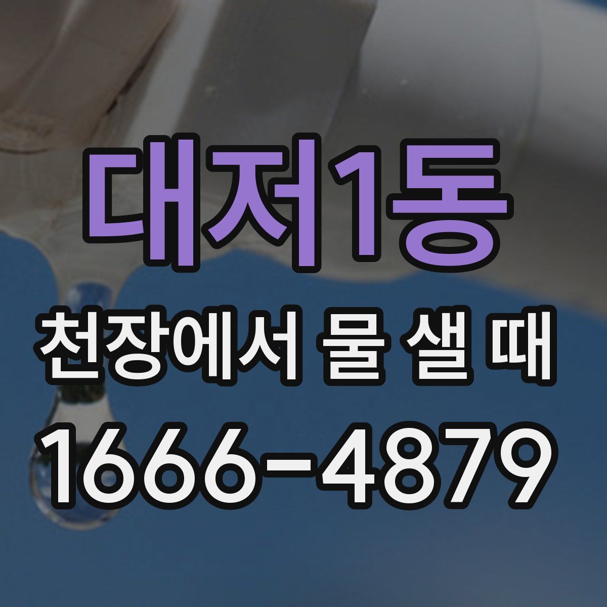 대저1동 천장에서 물 샐 때