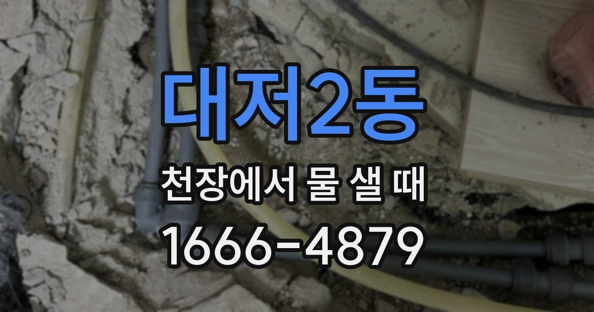 대저2동 천장에서 물 샐 때