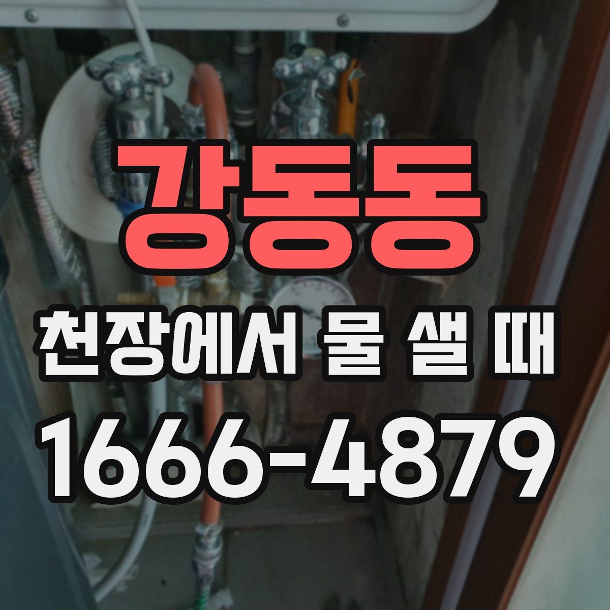 강동동 천장에서 물 샐 때