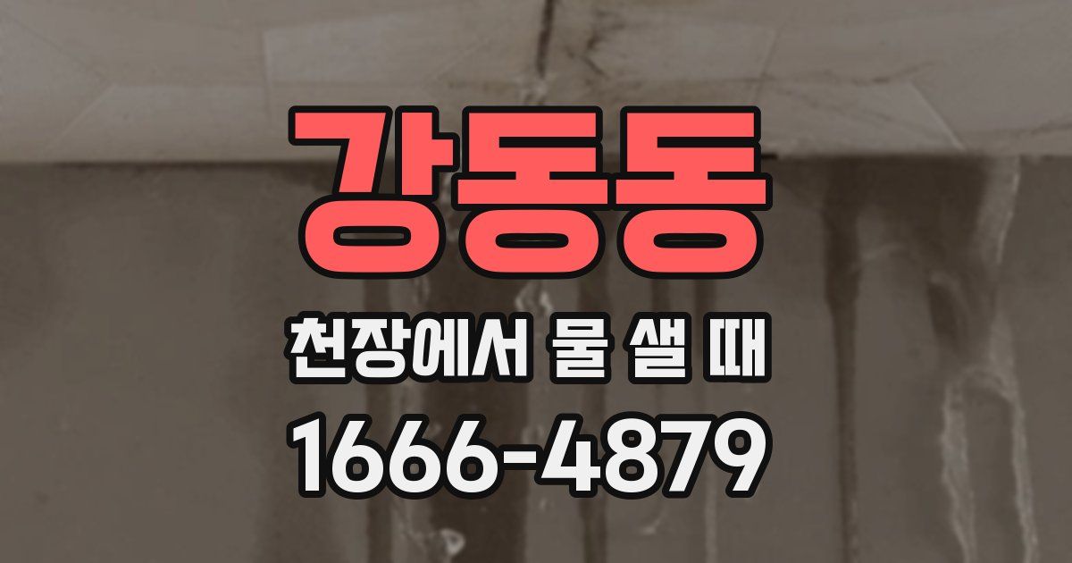 강동동 천장에서 물 샐 때