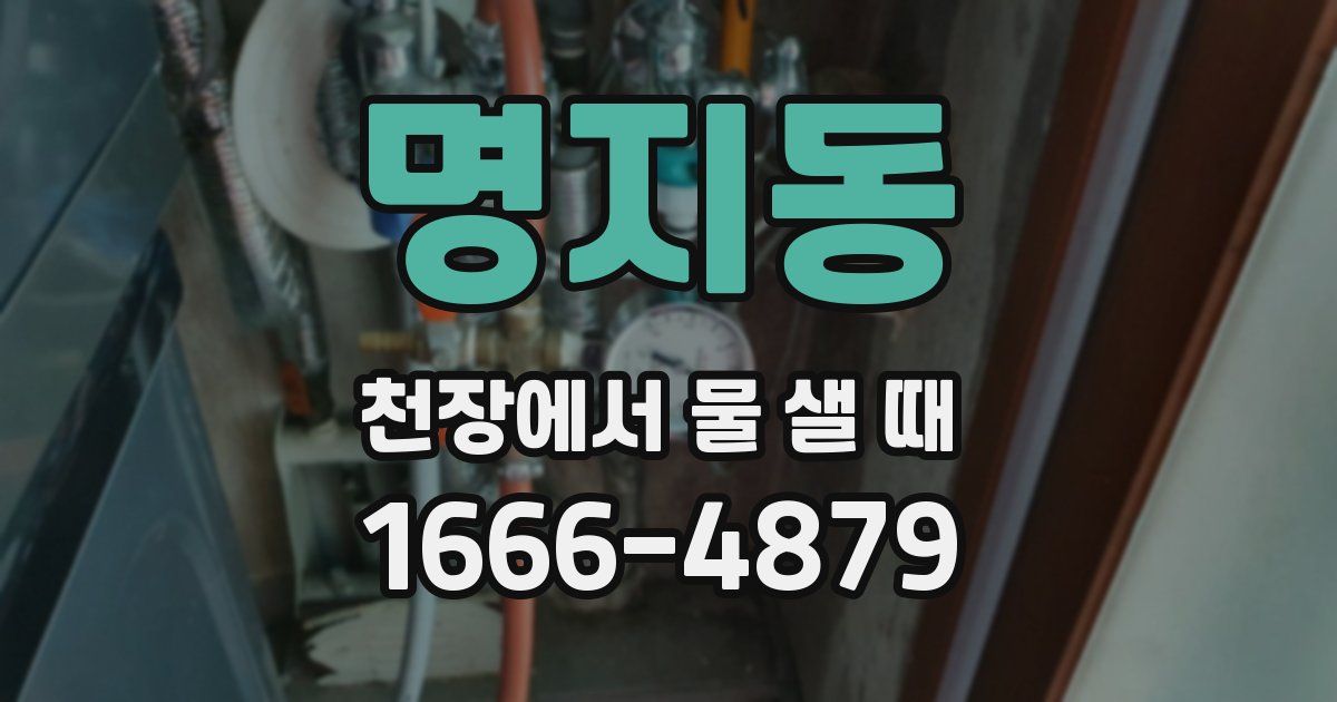 명지동 천장에서 물 샐 때