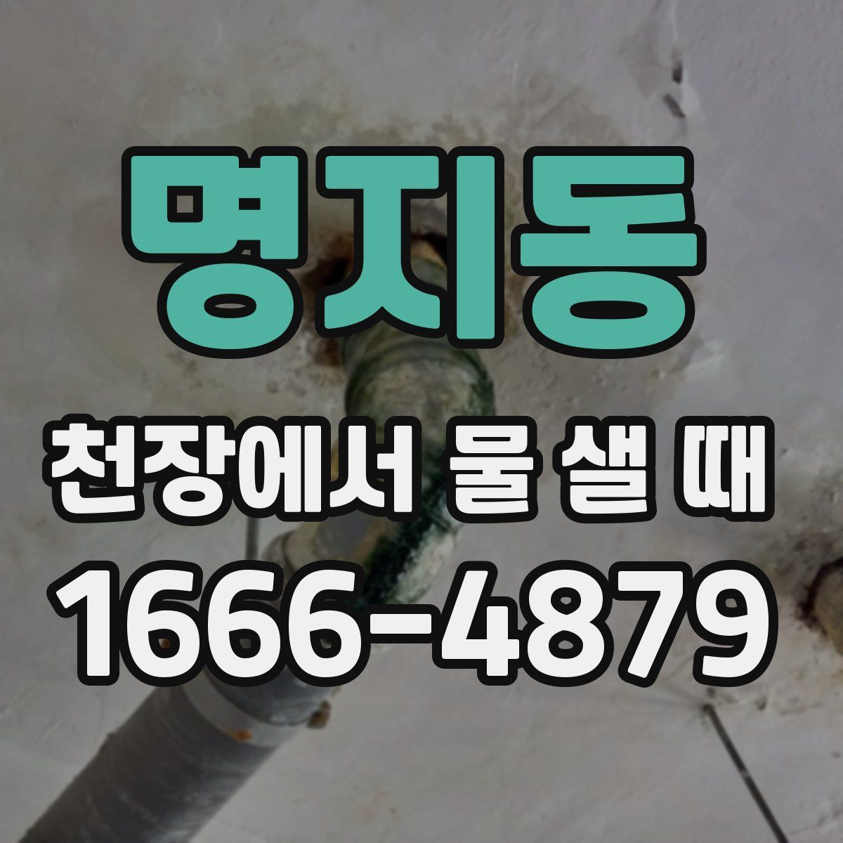 명지동 천장에서 물 샐 때