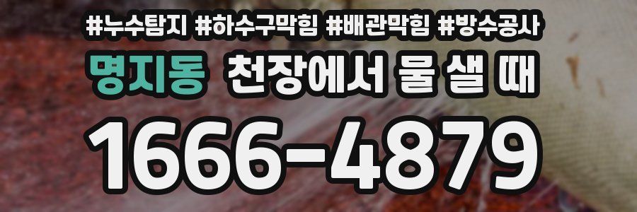 명지동 천장에서 물 샐 때