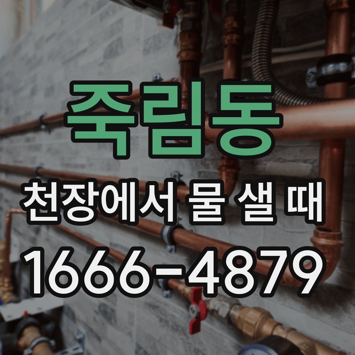 죽림동 천장에서 물 샐 때