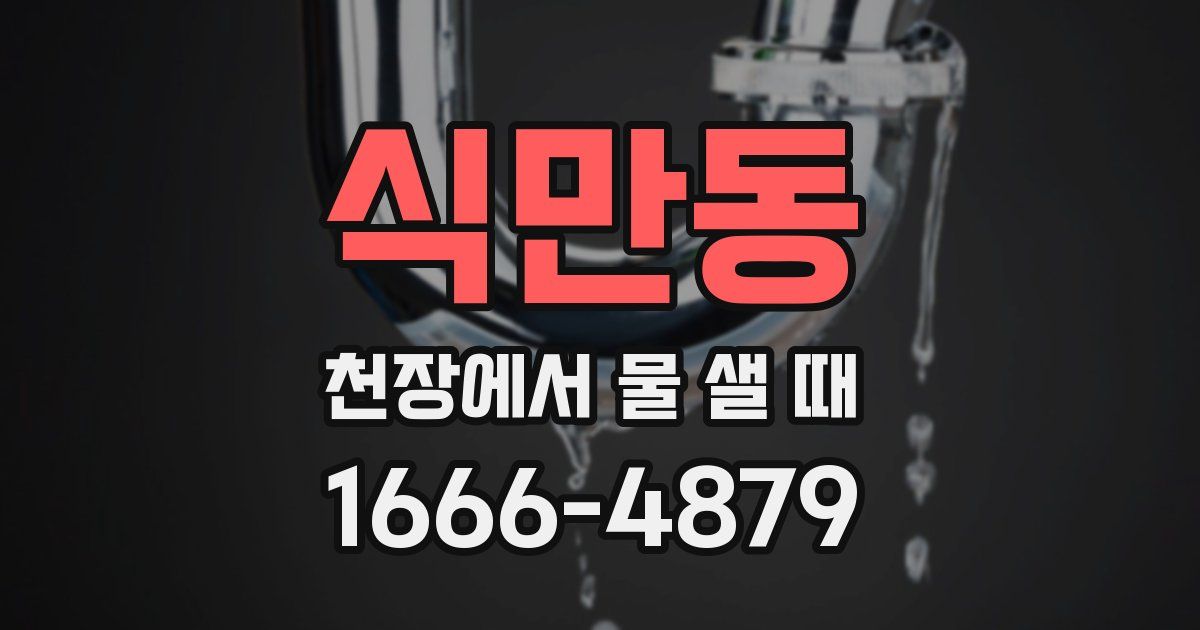 식만동 천장에서 물 샐 때