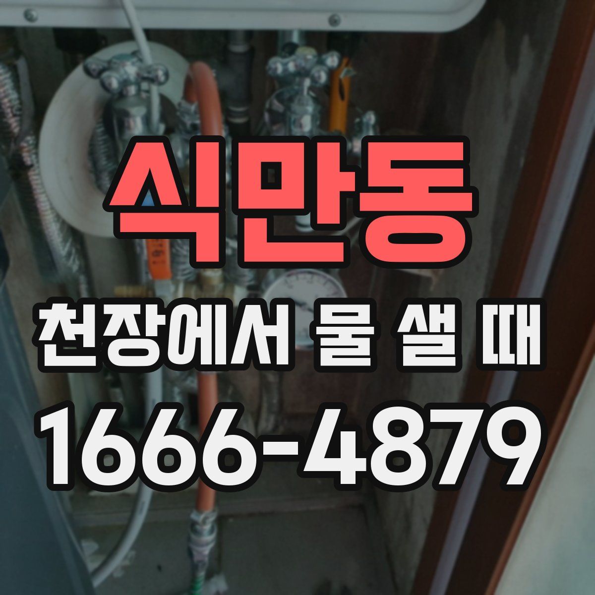 식만동 천장에서 물 샐 때