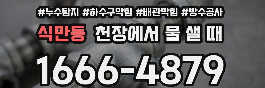 식만동 천장에서 물 샐 때