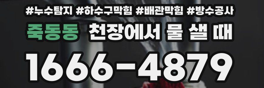죽동동 천장에서 물 샐 때