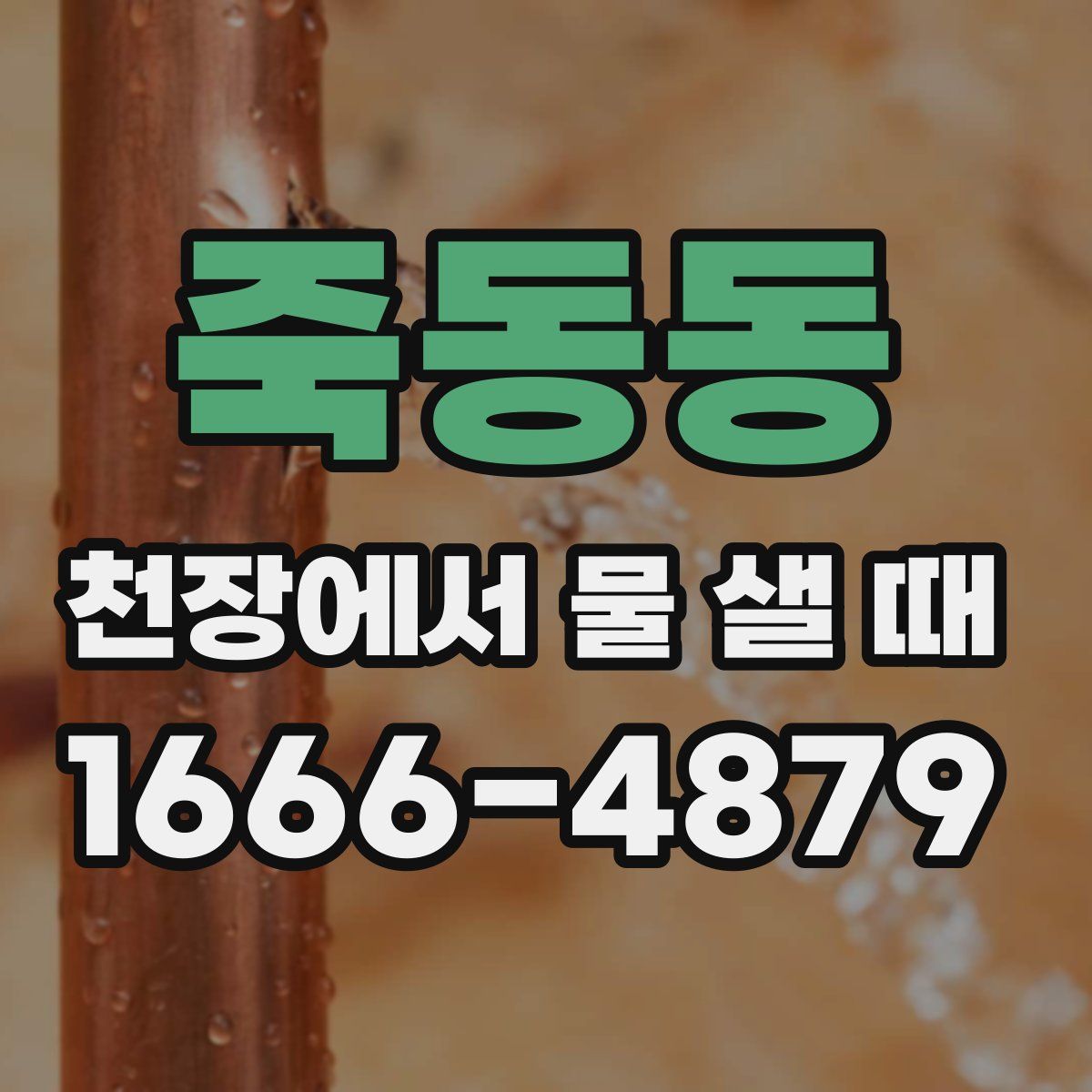 죽동동 천장에서 물 샐 때
