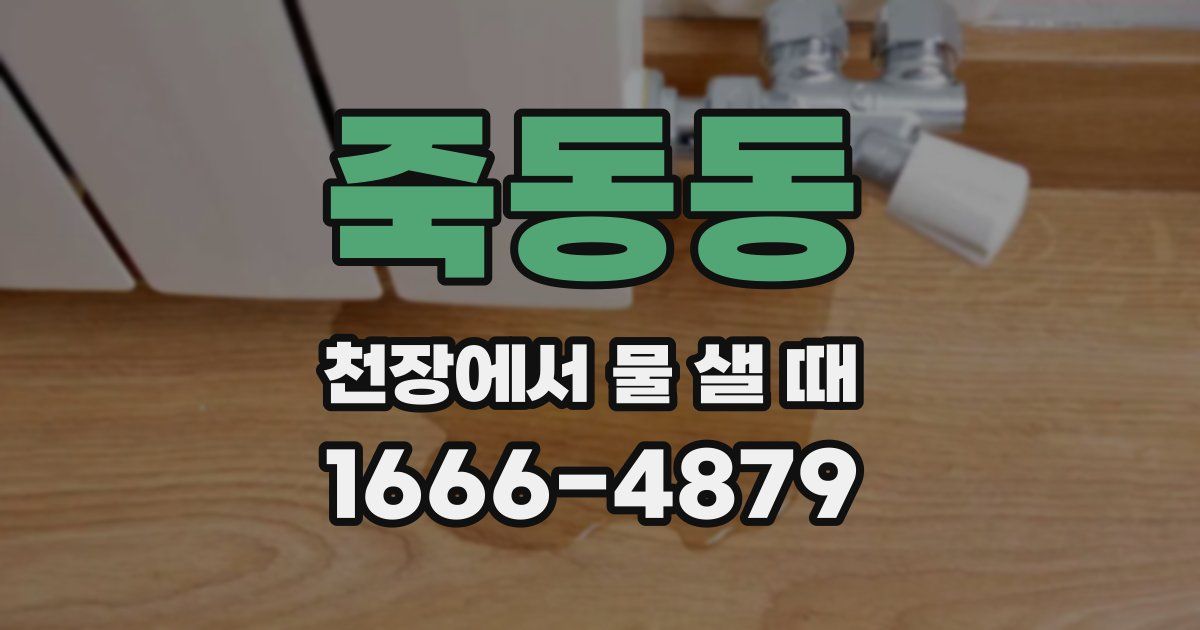 죽동동 천장에서 물 샐 때