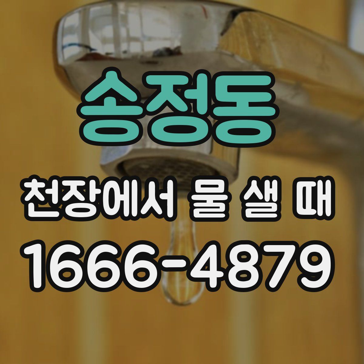 송정동 천장에서 물 샐 때