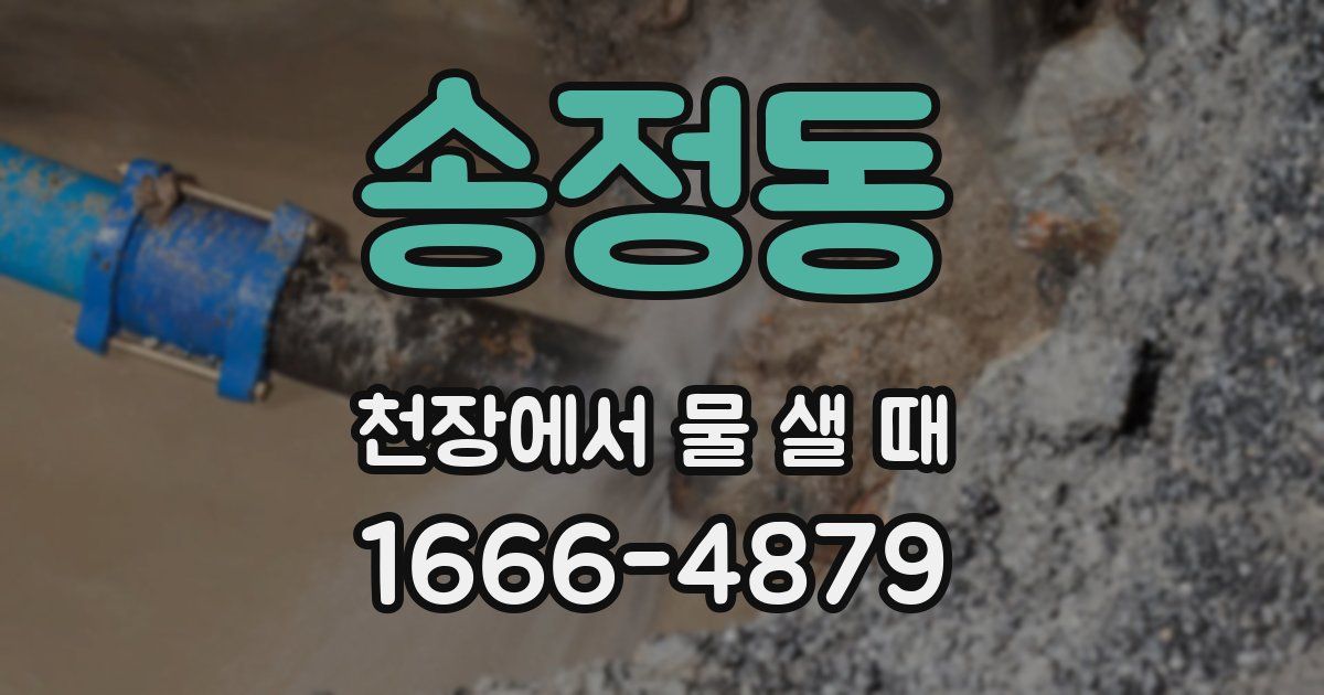 송정동 천장에서 물 샐 때
