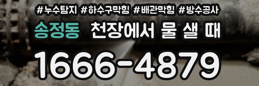 송정동 천장에서 물 샐 때