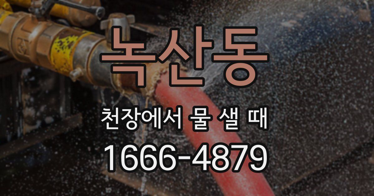 녹산동 천장에서 물 샐 때