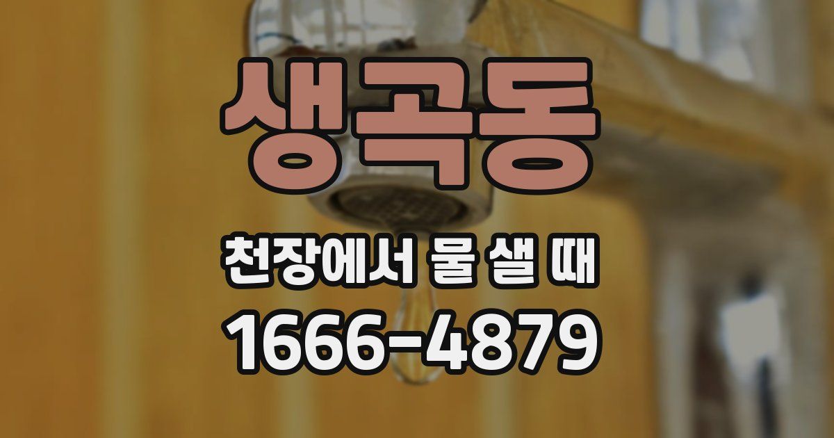 생곡동 천장에서 물 샐 때