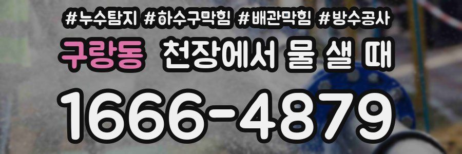 구랑동 천장에서 물 샐 때