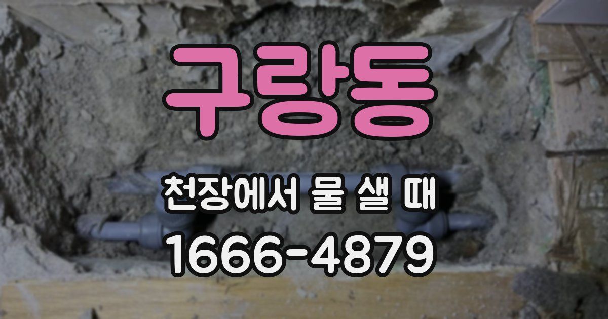 구랑동 천장에서 물 샐 때