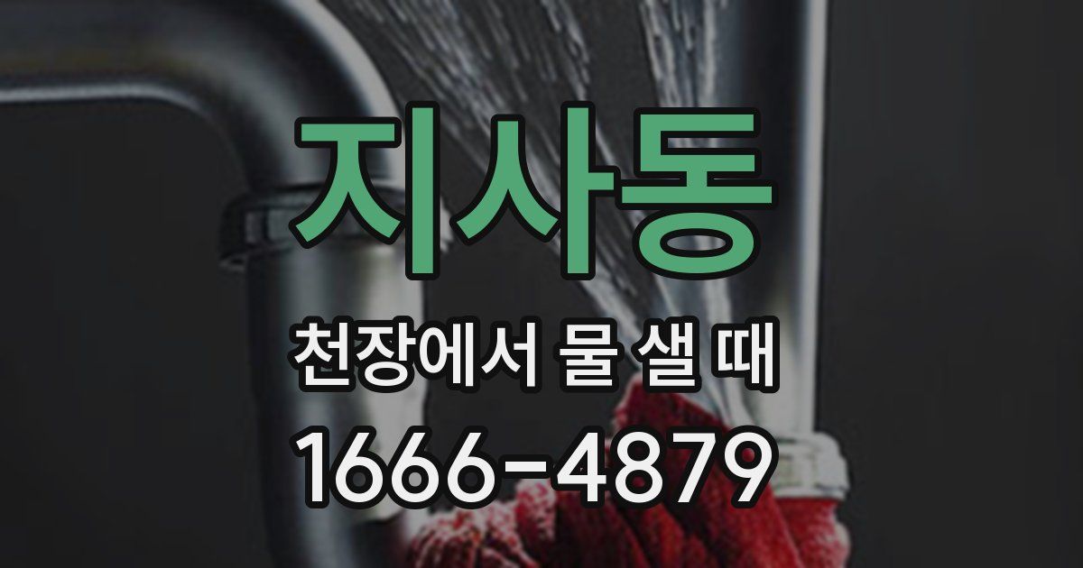 지사동 천장에서 물 샐 때