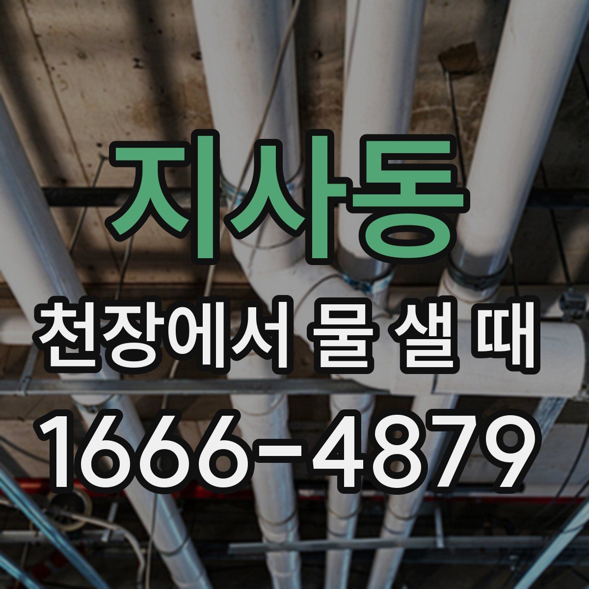 지사동 천장에서 물 샐 때