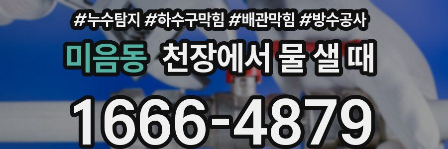 미음동 천장에서 물 샐 때