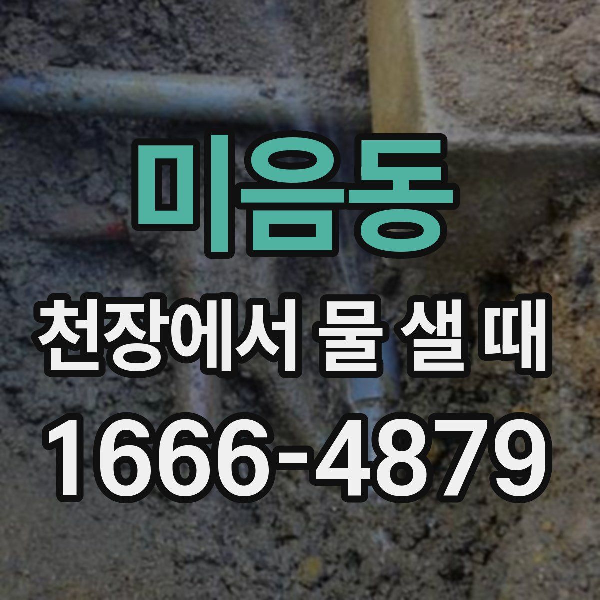 미음동 천장에서 물 샐 때