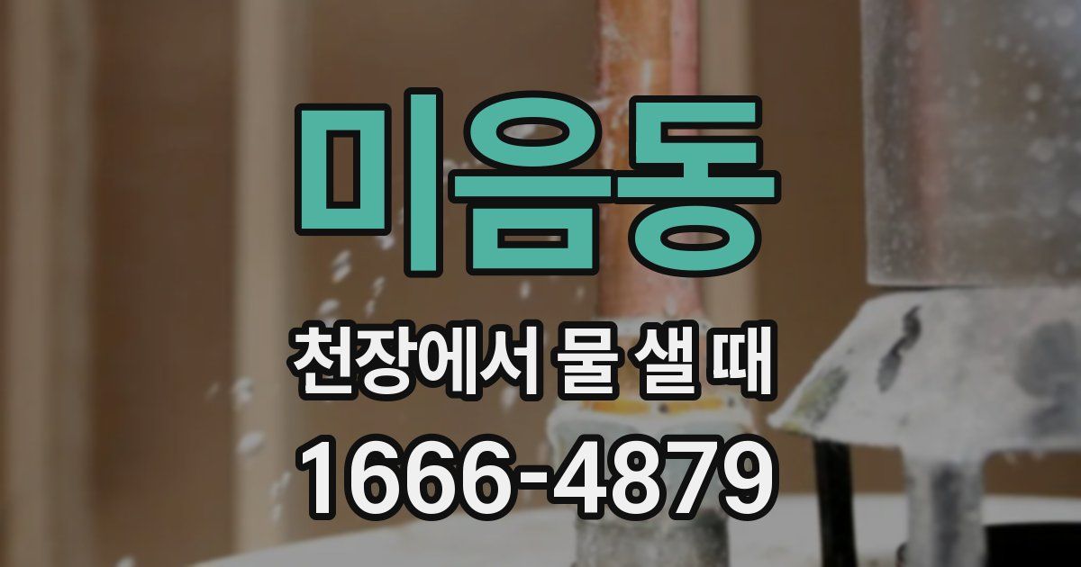 미음동 천장에서 물 샐 때
