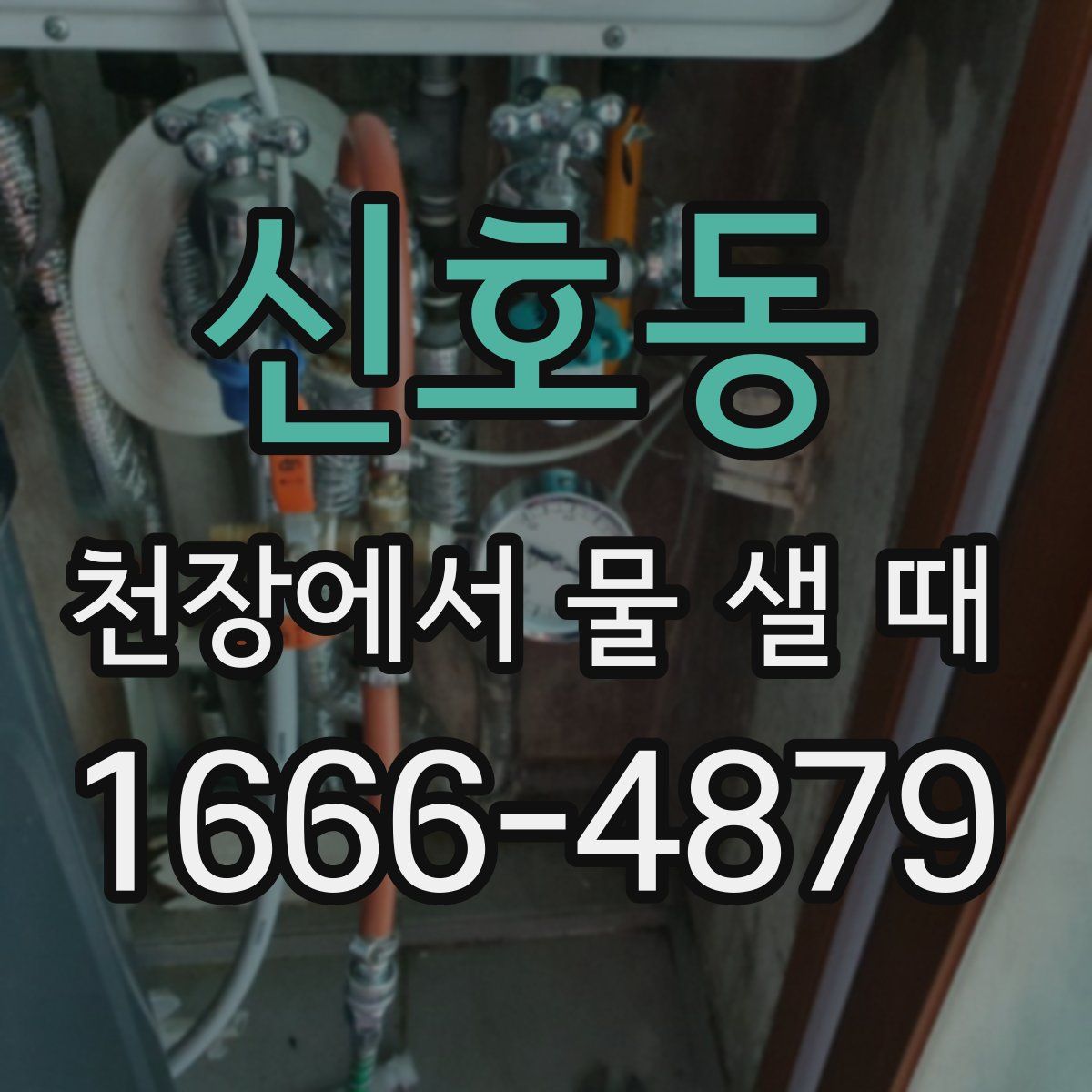 신호동 천장에서 물 샐 때