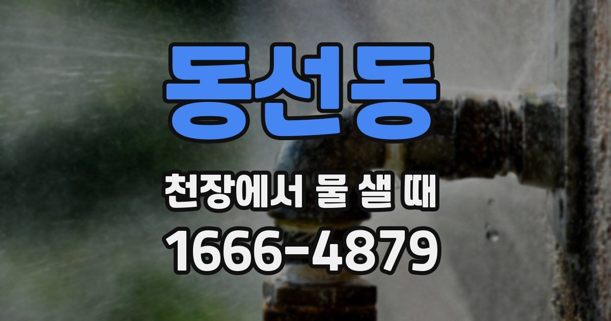 동선동 천장에서 물 샐 때